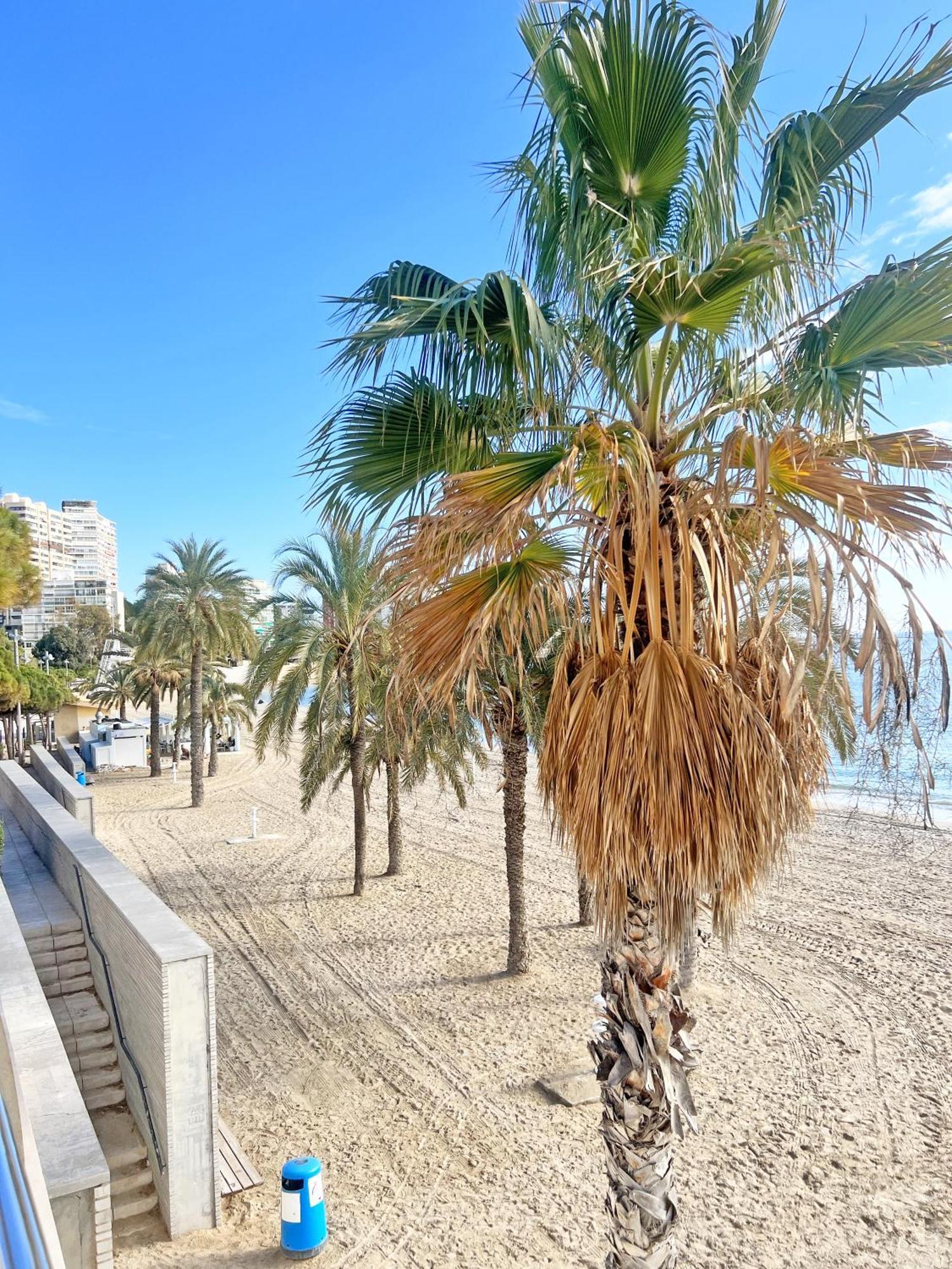 A 100M De La Playa. 2 Hab. A/C Apartment Аликанте Екстериор снимка